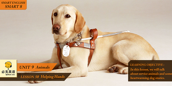 零基礎(chǔ)英語在線學(xué)習(xí)