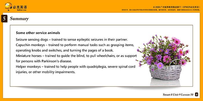 零基礎(chǔ)英語在線學(xué)習(xí)