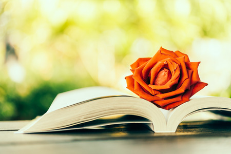 怎樣提升一個人英語寫作的文筆？